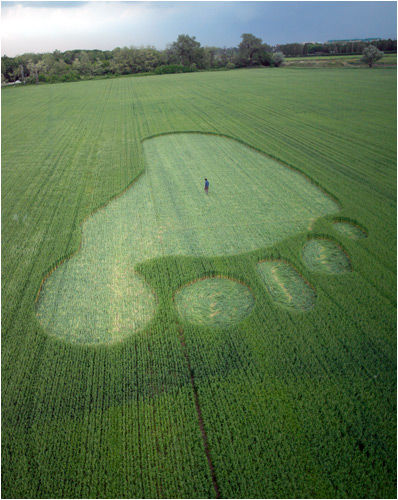 In May 2005, Nike called the Circlemakers team and asked them to tour Italy, drawing crop circles as part of an advertising campaign for their new Nike Free sneakers. They write in their release:
What we didn't realize was that we were eventually going to appear in 2 of the 4 commercials they created during our tour from the top to the bottom of the country, leaving huge footprints in Milan, Rome and Foggia in the south.
