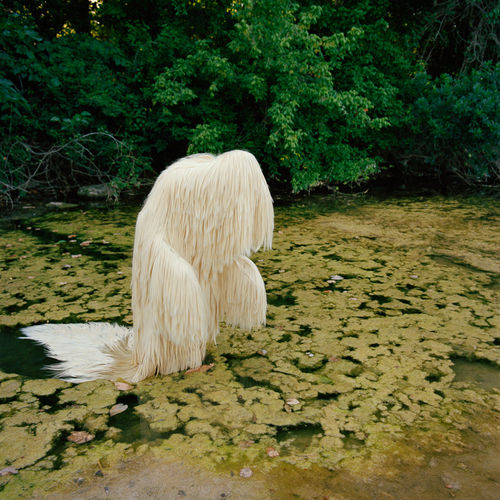 Художественная&nbsp;инсталляция&nbsp;Сьюзи Бристер «613 Silky Straight in&nbsp;Swamp», 2013&nbsp;год.
