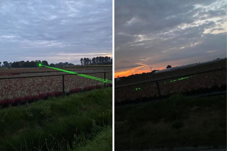 En lugar del espantapájaros habitual, que protege los campos de las aves, vienen los láseres giratorios.