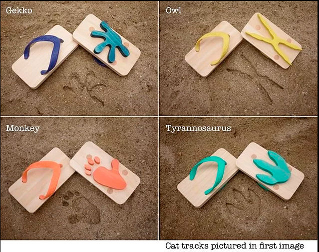 Las chanclas, los niños pueden dejar en la arena las huellas de diferentes animales. Aquí gecko, la lechuza, el mono y el tiranosaurio.

Ideamos tal creativa de la zapatos en japón.
Traducido del servicio de «Yandex.Traductor»