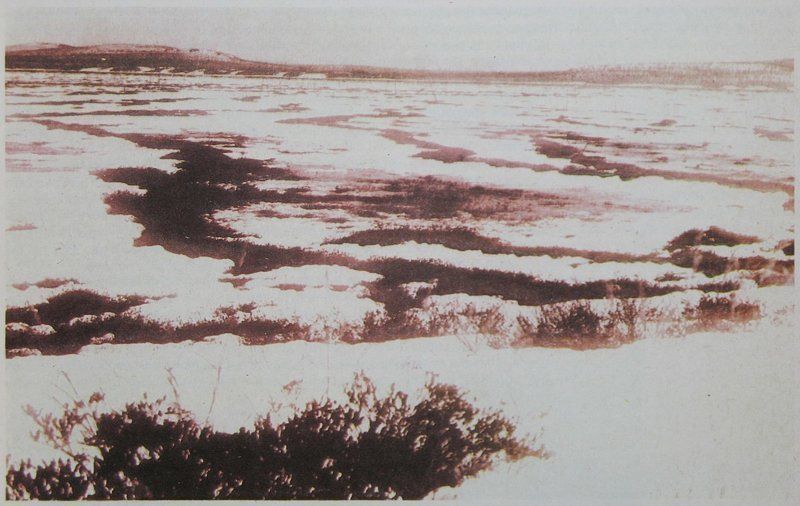 El pantano de tunguska, en la zona donde cayó el fenómeno. La foto es de la revista "Alrededor del mundo", 1931.
Traducido del servicio de «Yandex.Traductor»