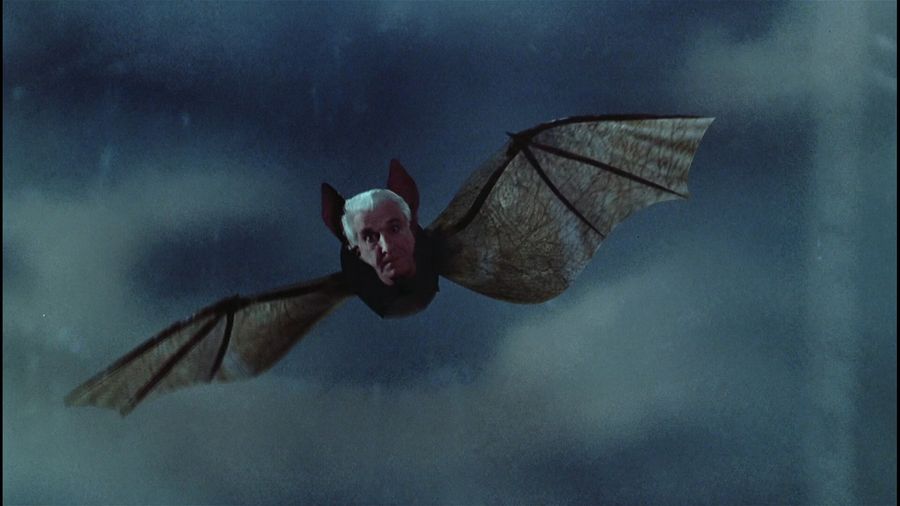 Drácula en la imagen de un murciélago
Traducido del servicio de «Yandex.Traductor»