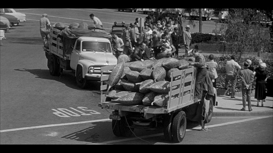 The pods of alien plants, loaded on the cars for distribution in other cities
Translated by «Yandex.Translator»