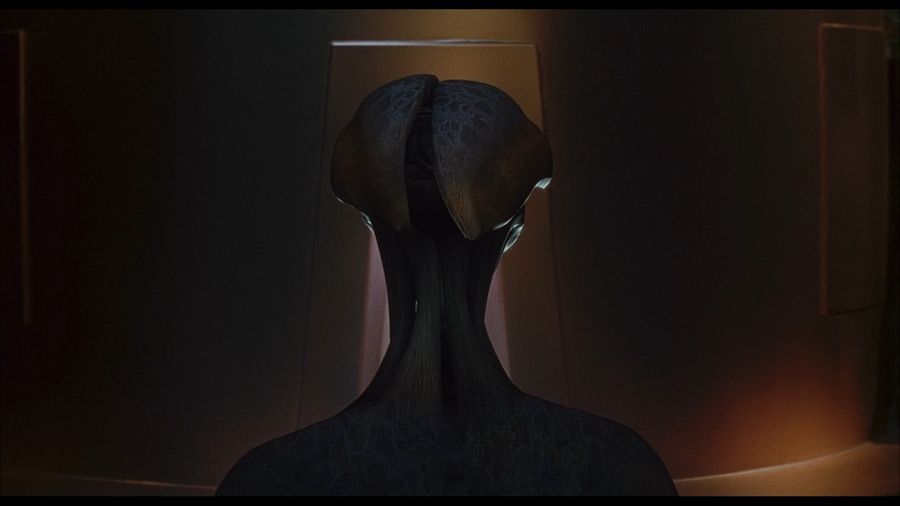 Parte posterior de la cabeza de alienígena
Traducido del servicio de «Yandex.Traductor»