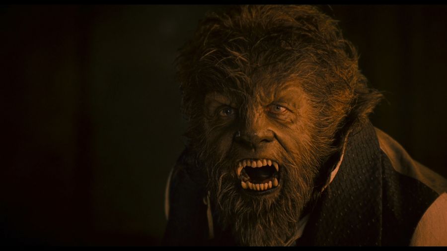 The face of an elderly werewolf
Translated by «Yandex.Translator»