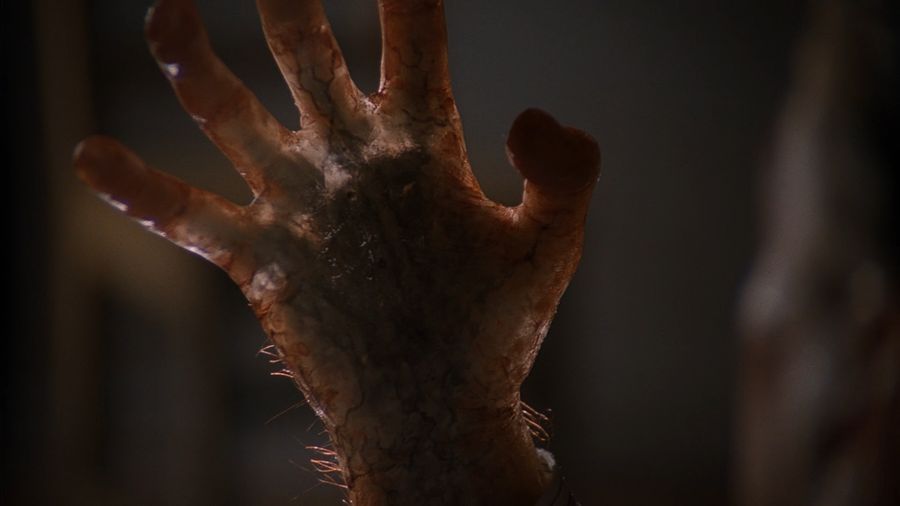 The hand of a man infected with an alien virus