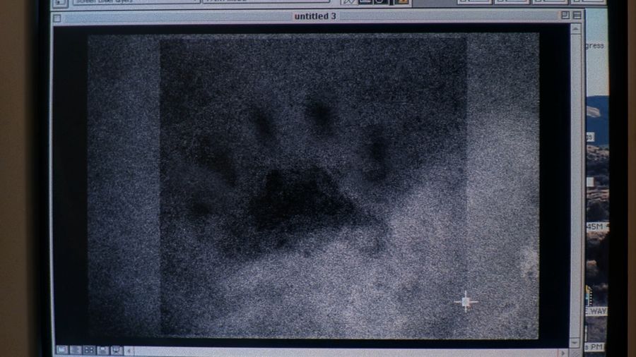 The footprint of a werewolf's paw with five fingers