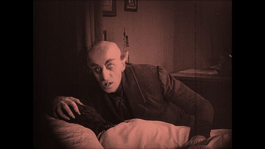 Count Orlok, a blood-drinking Helen
Translated by «Yandex.Translator»