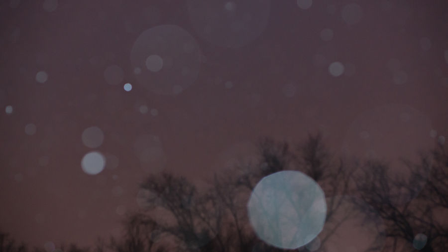 La nieve fuera de foco de la cámara, fotografiado con flash.
Traducido del servicio de «Yandex.Traductor»