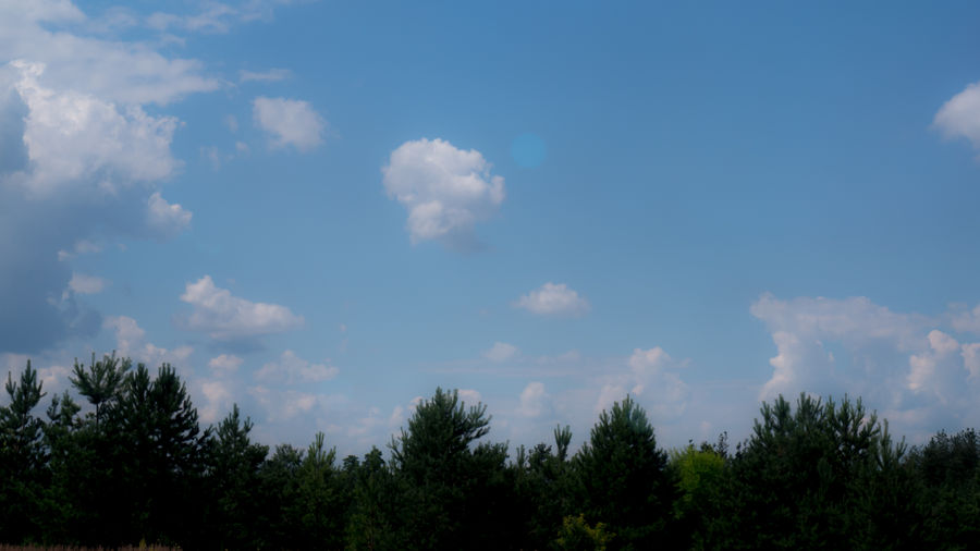 A bright object in the center of the frame is a scratch on the tinted glass of the car (through which was removed from the landscape). The blur turned out due to the focus on the background, and the color correction due to the white balance, expose for the clouds.
Translated by «Yandex.Translator»