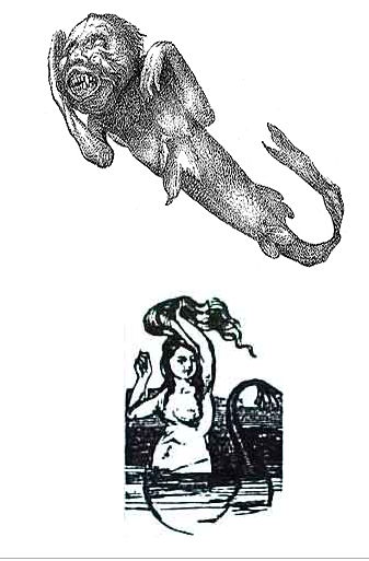 These two images are illustrations that were used for advertising of a mermaid from Fiji, when it was exhibited in new York, then in Charleston (South Carolina). 

The first picture that looks like a grotesque mixture of a fish and a monkey was published in the New York Sunday Herald in 1842.

It contrasts with an enticing sea siren from a dream of a sailor, appeared in the "Charleston courier" on 21 January 1843.

The discrepancy between the images was probably due to the limitations of geography and printing technology. Local artist-sketcher in new York could accurately convey the mermaid, while far newspaper had to rely on prints printing prinov to advertise the attractiveness of the exhibit.
Translated by «Yandex.Translator»