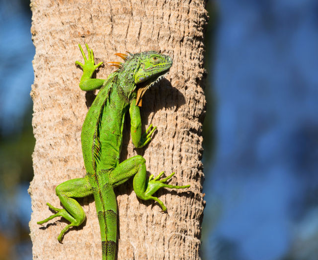 Иллюстрация

© shutterstock.com
