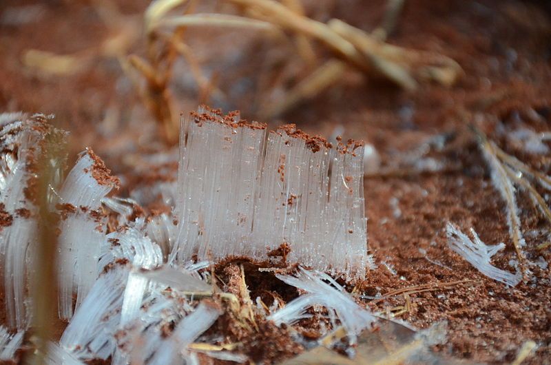 Needle ice formed in a pile of red clay soil