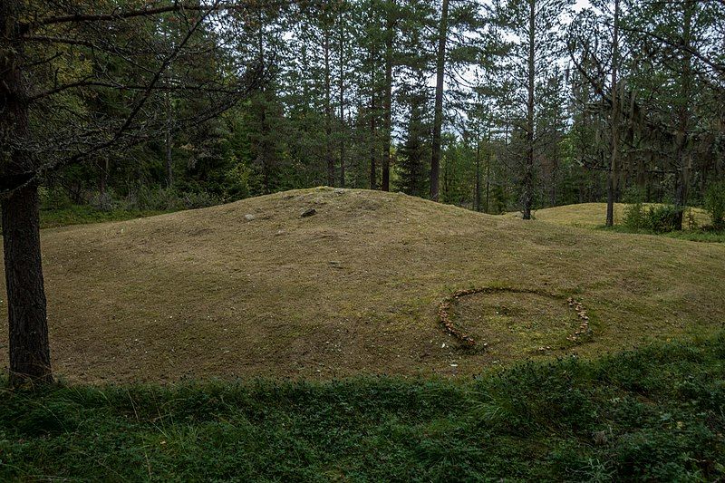 The witch's ring on the mound on Reden