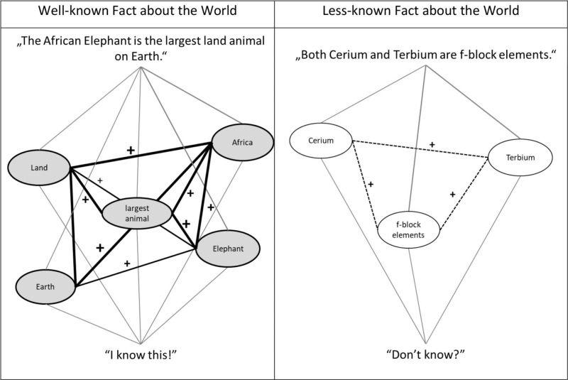 An illustration of how people judge whether they know information.The panels illustrate localized reference networks for well-known and lesser-known facts about the world. Light gray lines indicate incoming information. The gray circles indicate the references that exist in the memory, which give meaning to the statement. White circles indicate information that does not have links in memory. Solid lines indicate existing links between links. Dotted lines indicate links triggered by the presentation. The "+" sign indicates a coherent connection, and the "-" sign indicates an incoherent connection (not shown). The thickness of the line indicates the strength of the connection.