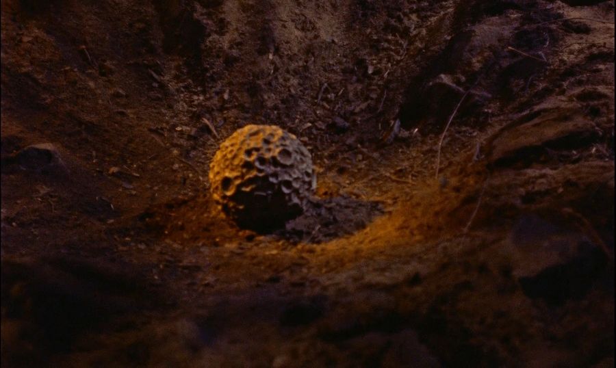 Capsule with an alien organism in the crash site