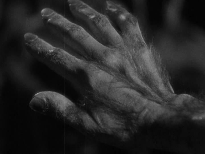 The hand of Glendon in the light of the moon turns into a werewolf paw
Translated by «Yandex.Translator»