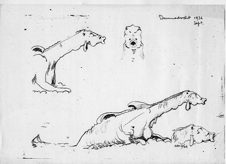 Copyright 2000 Alastair Dallas.Sketches by Alastair DallasSketch A – top left, right view of the front of the creature.
Sketch B is at the top right, only the frontal view of the head.
Sketch C – lower center, the most complete view
Sketch D – bottom right, head apparently sucking a rock
