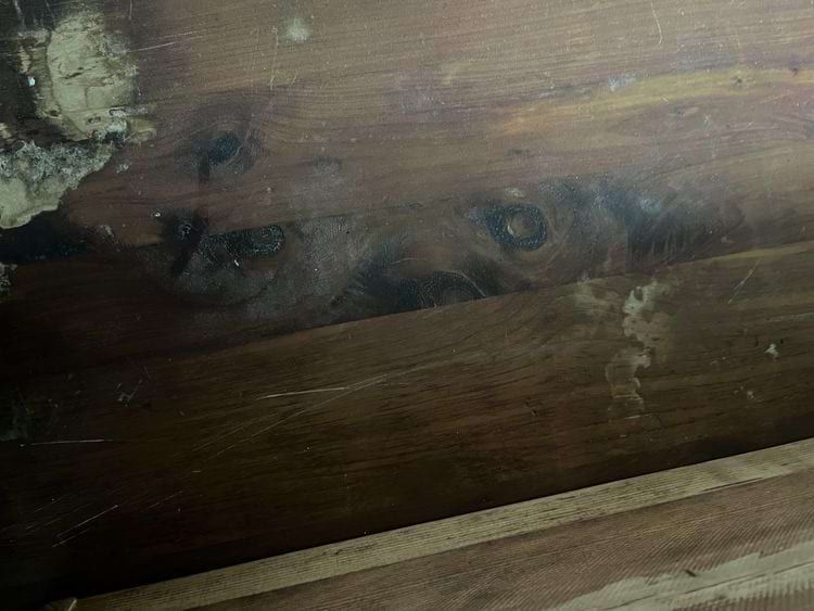 The wooden plank on the old chest looks like a grizzly bear peeking out