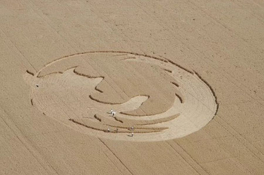 In this photo provided by Oregon State University, students carve crop circles in the shape of the Mozilla Firefox logo in an oat field near Amity, Oregon, on Saturday, August 12, 2006, to celebrate Mozilla Firefox's 200 million downloads.Google, the Internet search company, organized a special satellite flyby so that the 200-foot Firefox logo in the form of crop circles could be shown on Google Earth, which features high-resolution photos from space. (AP Photo/Oregon State University via News-Register)