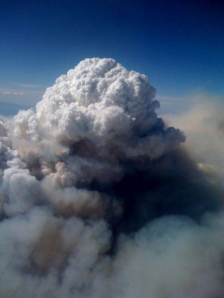 Pyrocumulus cloud.

They appear only in places of continuous fires on the territory of the volcanic activity. Sometimes pyrocumulus can be rain clouds, then the rain from these clouds can extinguish the fire beneath them.

Height up to 12 km
Translated by «Yandex.Translator»