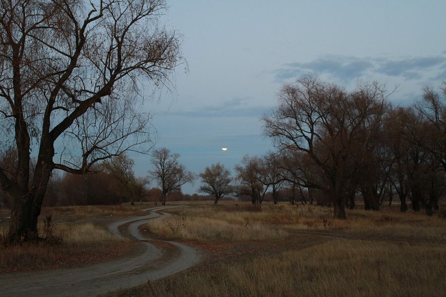 The moon partially hidden by clouds

author: samsonov
Translated by «Yandex.Translator»