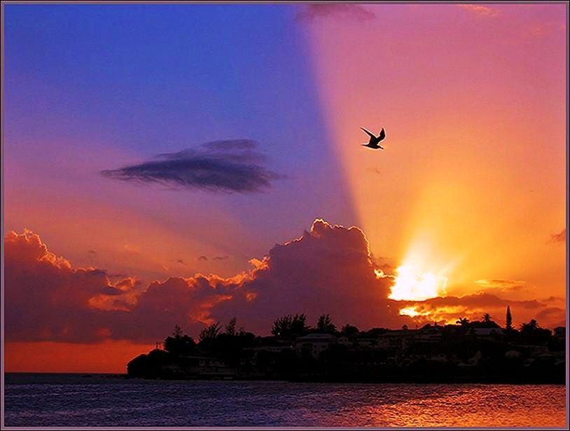 Лучи Солнца, которые загораживает облако. Явление называется&nbsp;"Раскол&nbsp;заката" (sunset split), т.к. визуально делит небо на части.
