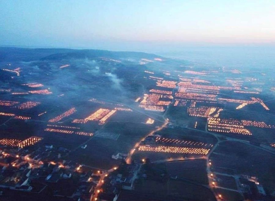 Bonfires are lit in French vineyards to protect them from frost.