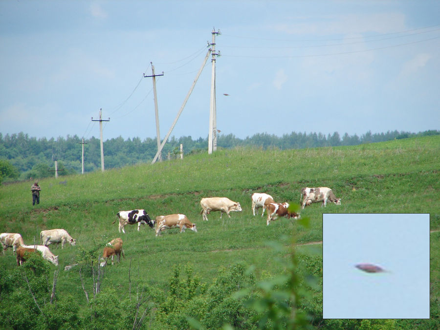 A bird flying in the frame at the time of shooting.
Translated by «Yandex.Translator»