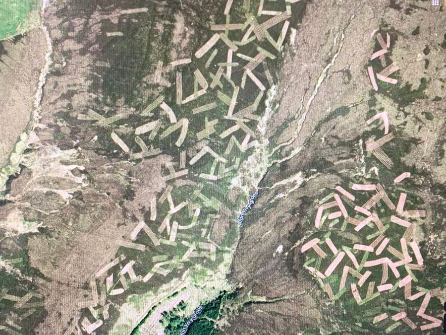 Las líneas en el paisaje del Norte de Gales de la imagen satelital de Google Maps son un adelgazamiento llamado brezo de brezo para mejorar el hábitat de los pollas negras.El brezo se corta con un tractor para crear un hábitat diverso y diferentes etapas de crecimiento del brezo.