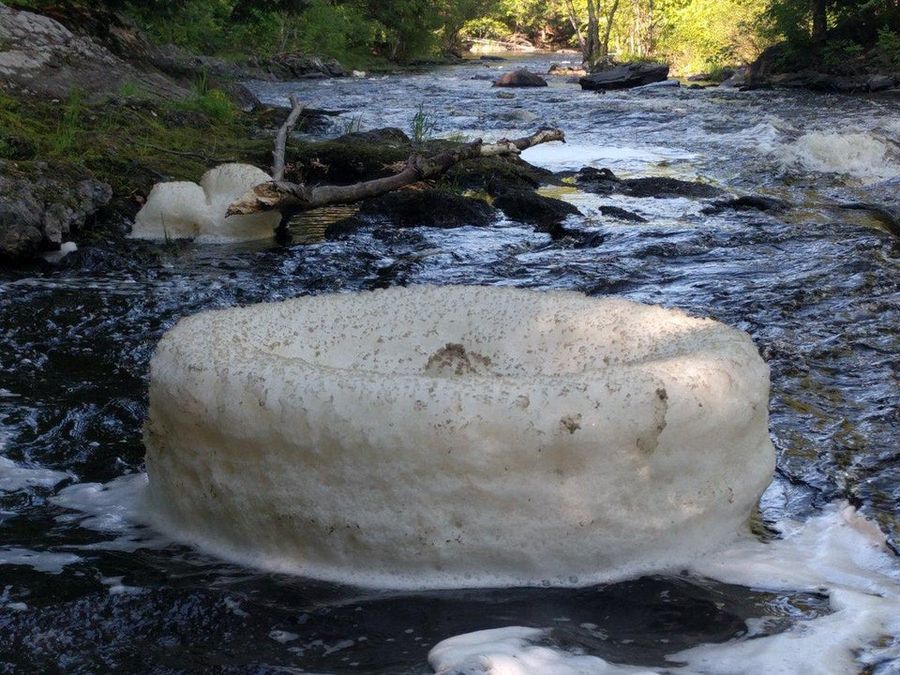 The swirl in this stream collected the foam and created a perfect circular wheel out of it.Posted by u/Radiocureee