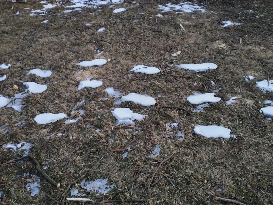 jasta85
The snow in my yard has melted, except for the place where my footsteps were.
PragmaticAndroid
Yes, because if you step on it, it will become more dense and melt more slowly.
 