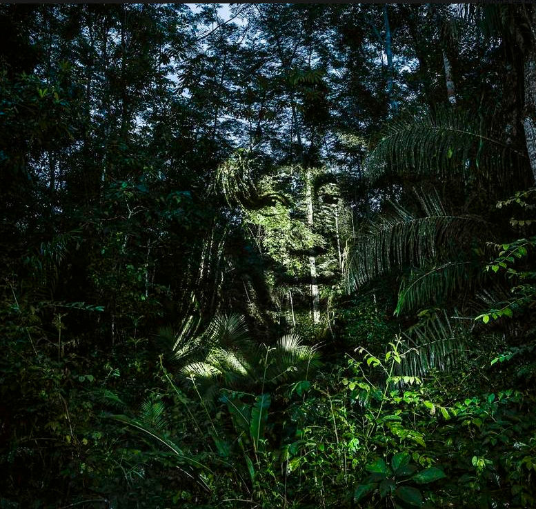 El fotógrafo felipe Эшар lanzó único ambiental el proyecto de "Street-art "2.0". Plataforma para la creatividad, para él, el acero de la selva en las orillas del amazonas. Se utiliza la iluminación y de la tecnología informática, proyectando la imagen en los árboles.
Traducido del servicio de «Yandex.Traductor»