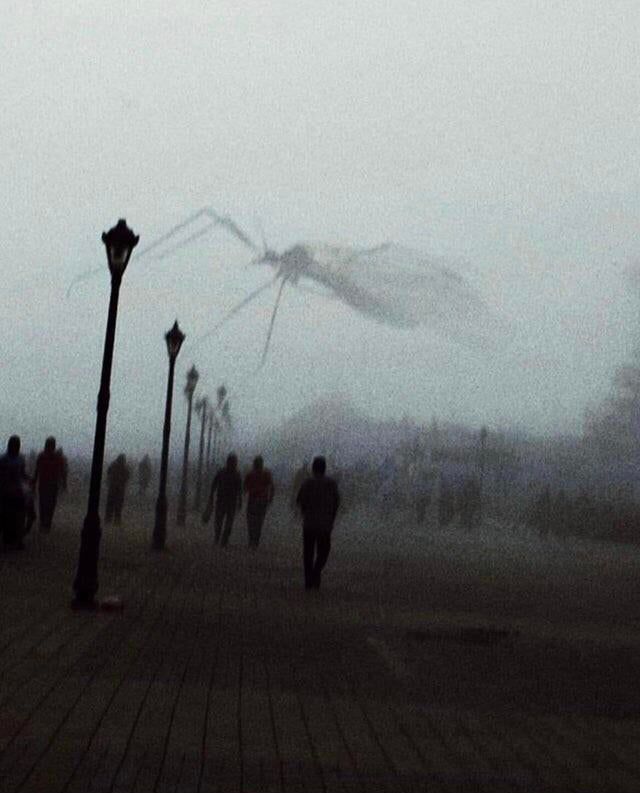 A mosquito flew in front of the camera lensAuthor: u/ThePhantom1994