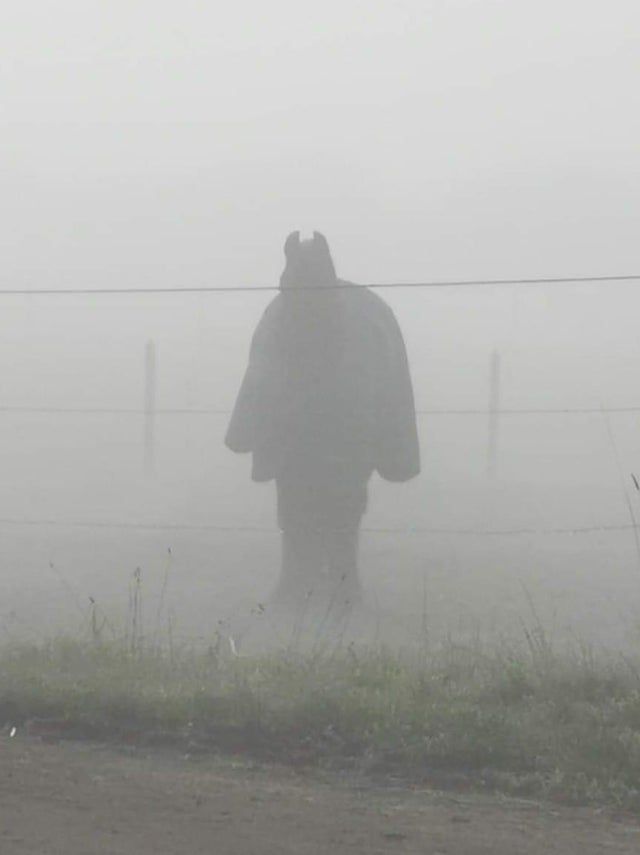 Batman in the fog is actually a horse in a blanket.Author: u/SoVeryKerry
