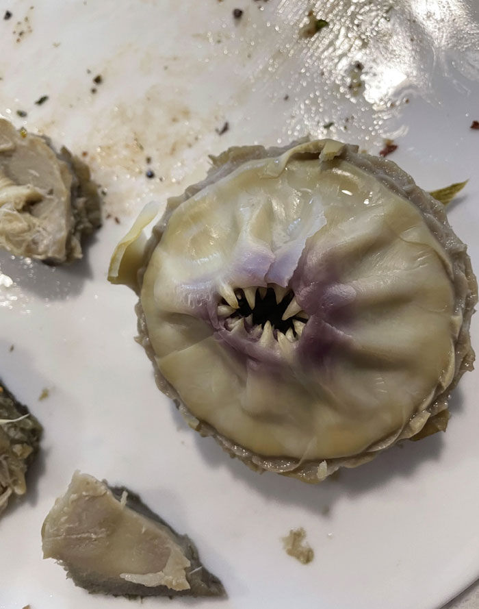 The inner spikes of an artichoke look like teeth. The artichoke core can sometimes have thorns, but in most cases the thorns are only on the leaves, and these thorns consist of fibrous hairs.