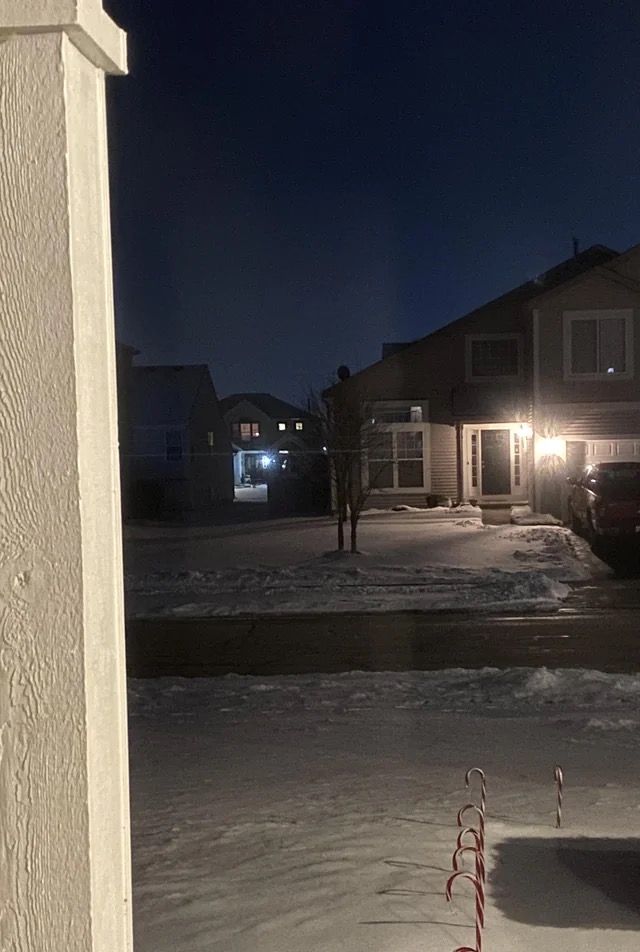 Message from u/Chriscuits:
That tall guy in my neighbor's yard always scares the hell out of me… These are 2 small trees and a satellite dish
