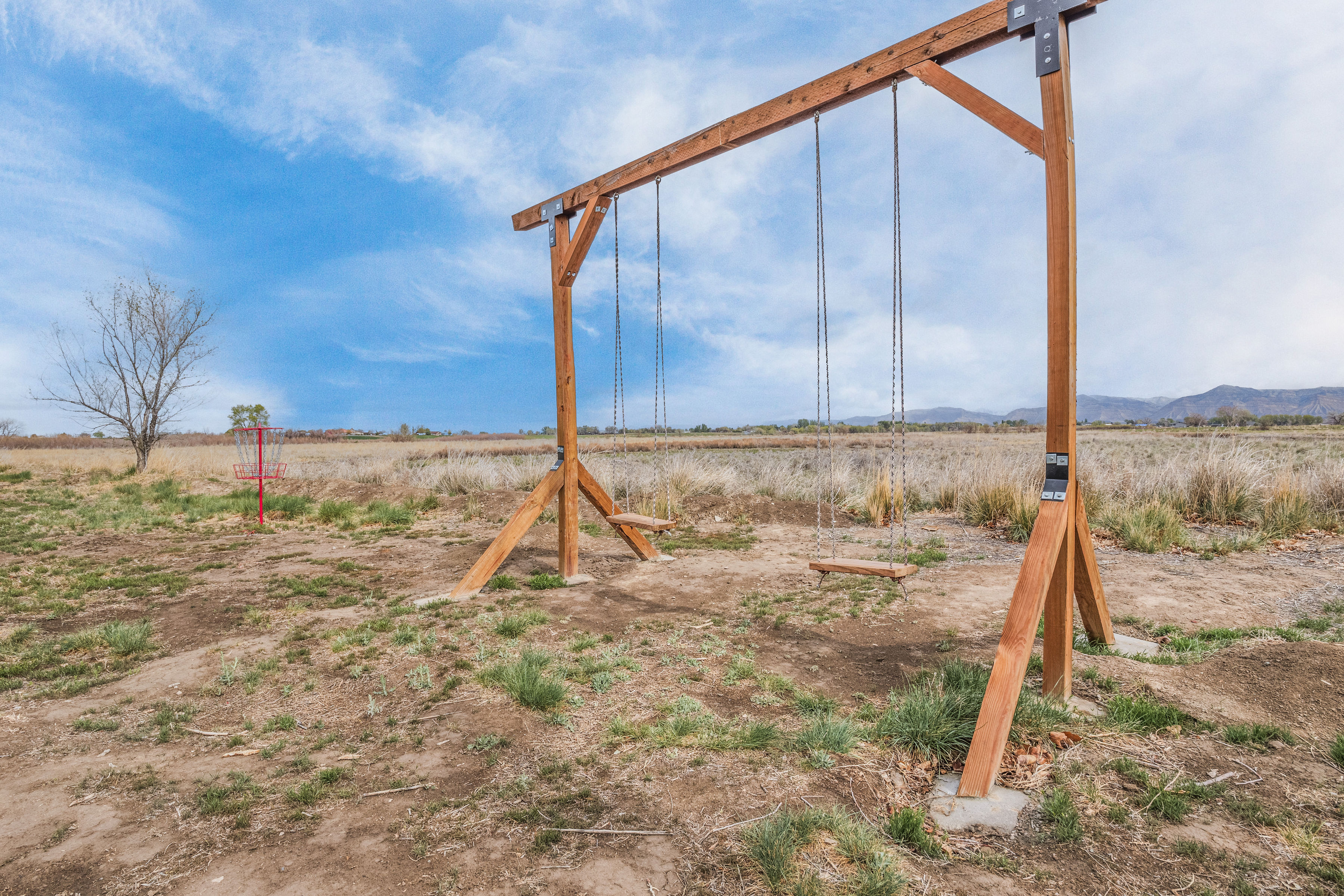 Backyard - swings