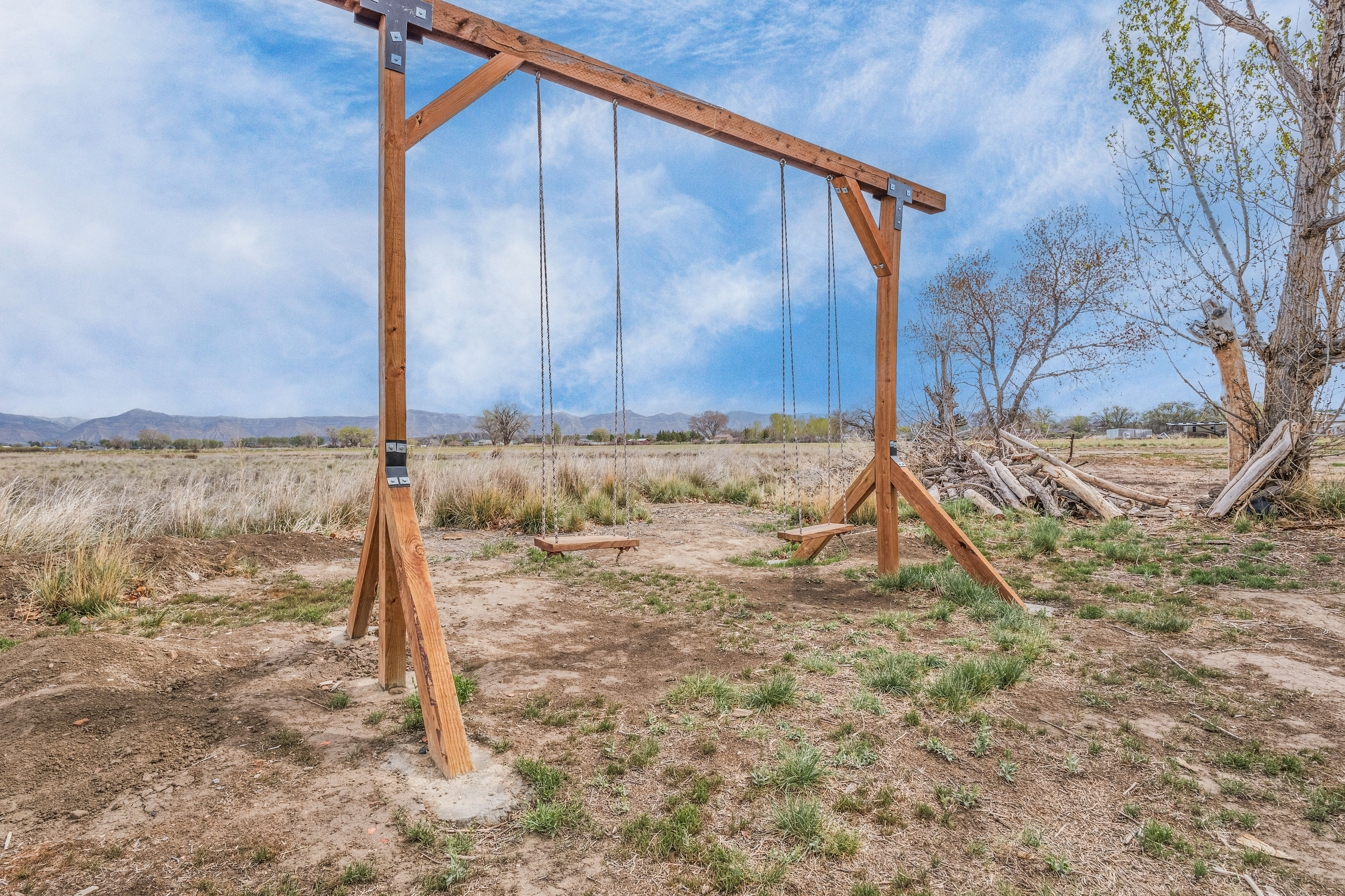 Backyard - swings