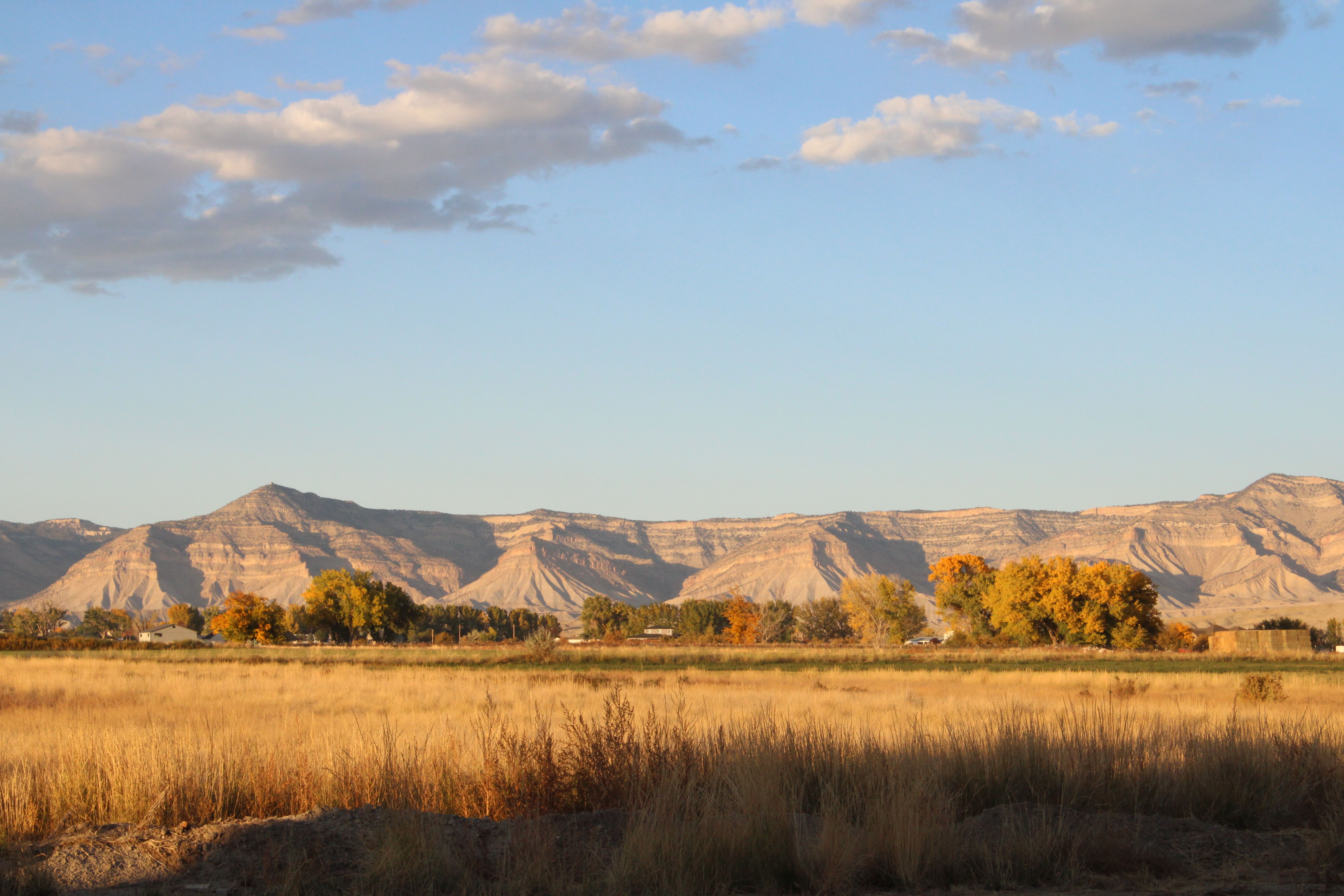 View of the Bookcliffs