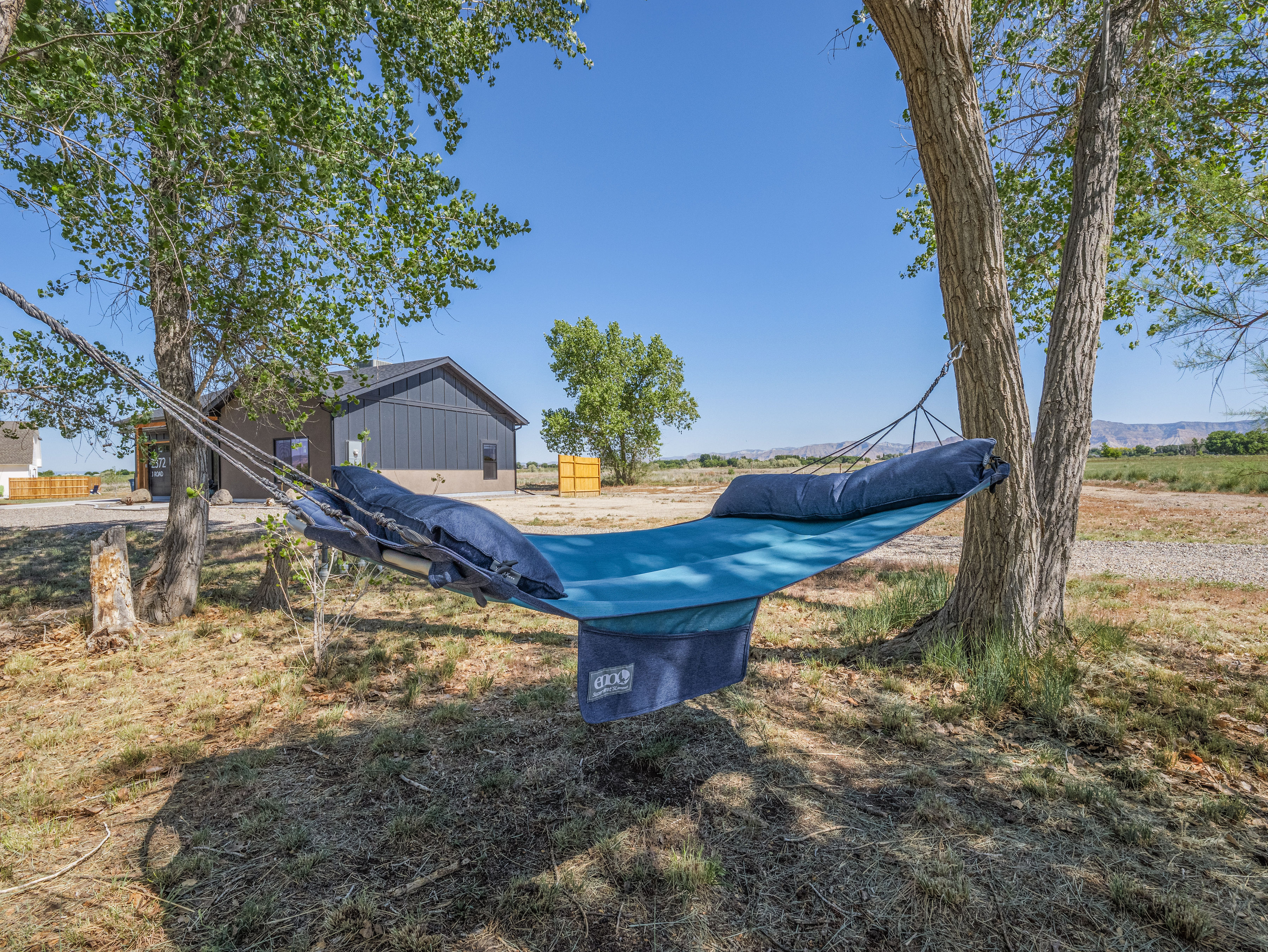 Grove with hammock