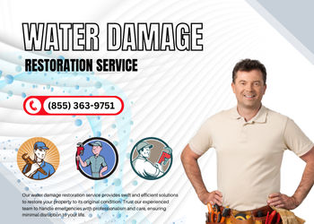 Best Mold Remediation in Thorsby, AL