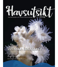 Havsutsikt 1/2024