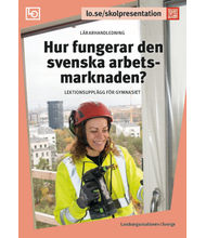 Hur fungerar den svenska arbetsmarknaden?