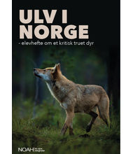 Ulv i Norge