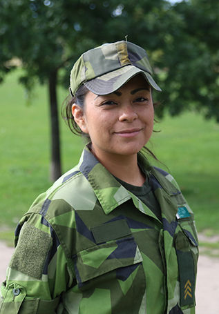 Försvarmakten.png