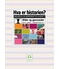 Verktøykasse #5: Hva er historien? Aktiv Læring