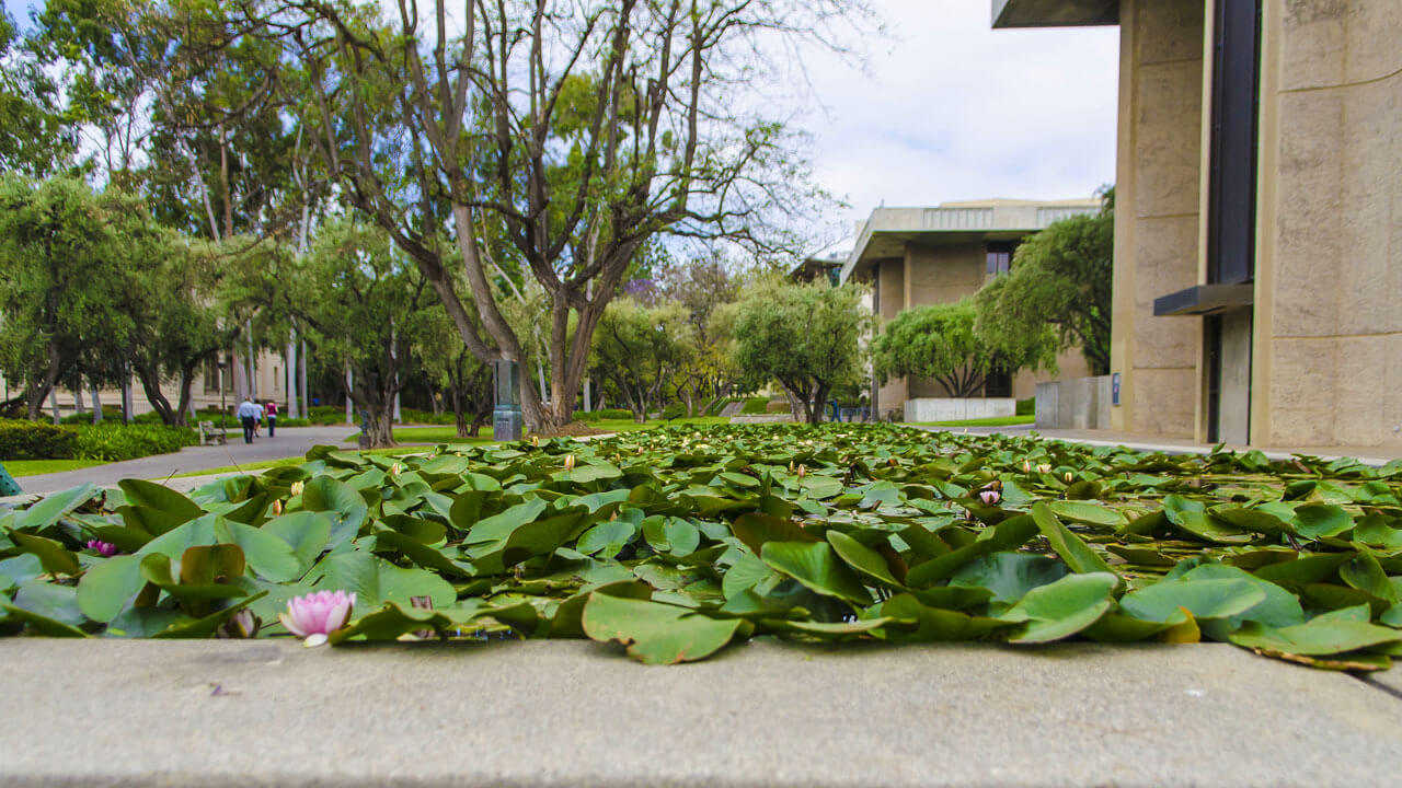 How to take care of yourself at Caltech