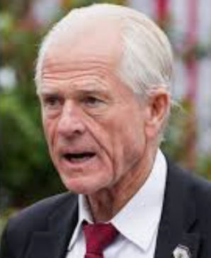 peter navarro