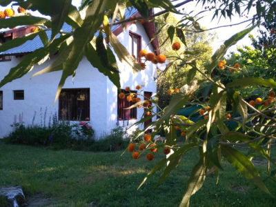 Exterior de Cabañas Ucihuen - foto 3